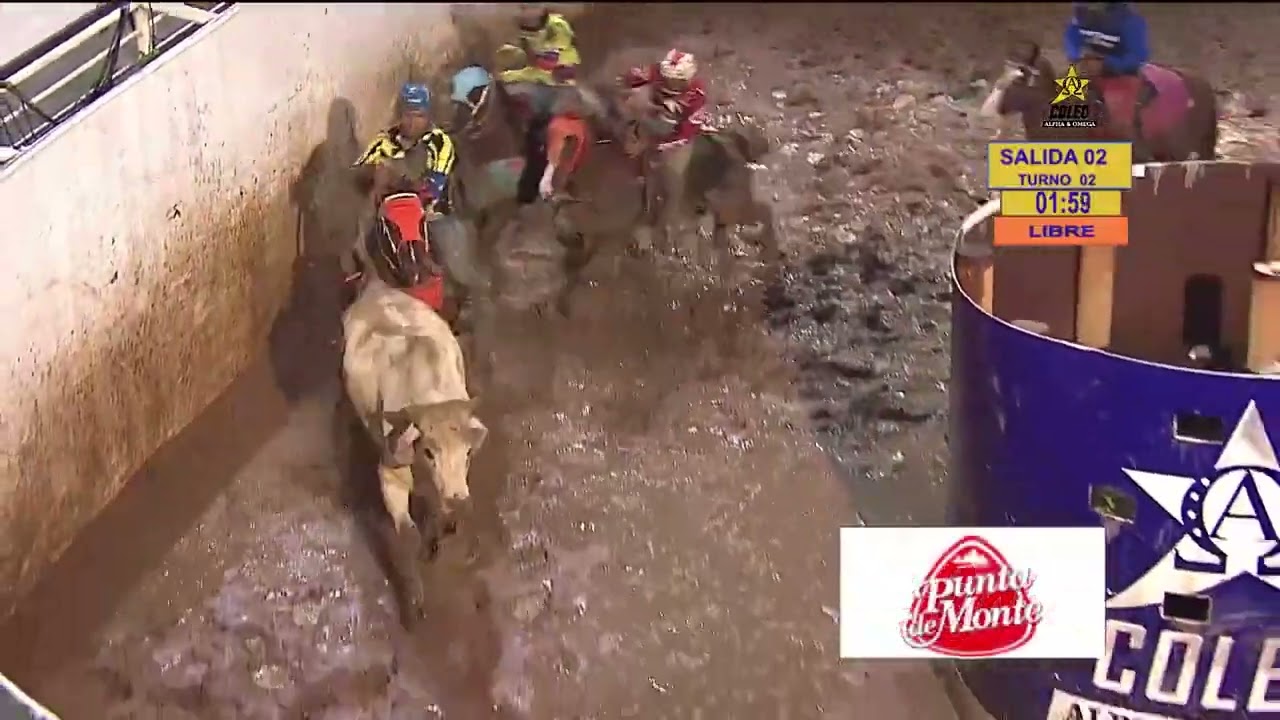 Final - Coleo Alpha & Omega Junio 2022 Circuito los morros