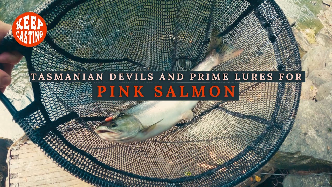 Tasmanian Devils and Prime Lures for CHROME Pink Salmon