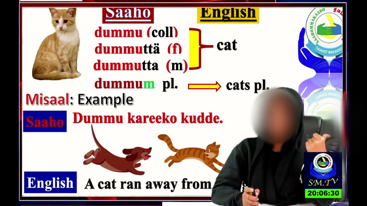SAHO-ENGLISH LESSONS: EPISODE 7. DAILY ROUTINE & ANIMALS  الحلقة السابعة  من دروس تعليم لغة الساهو