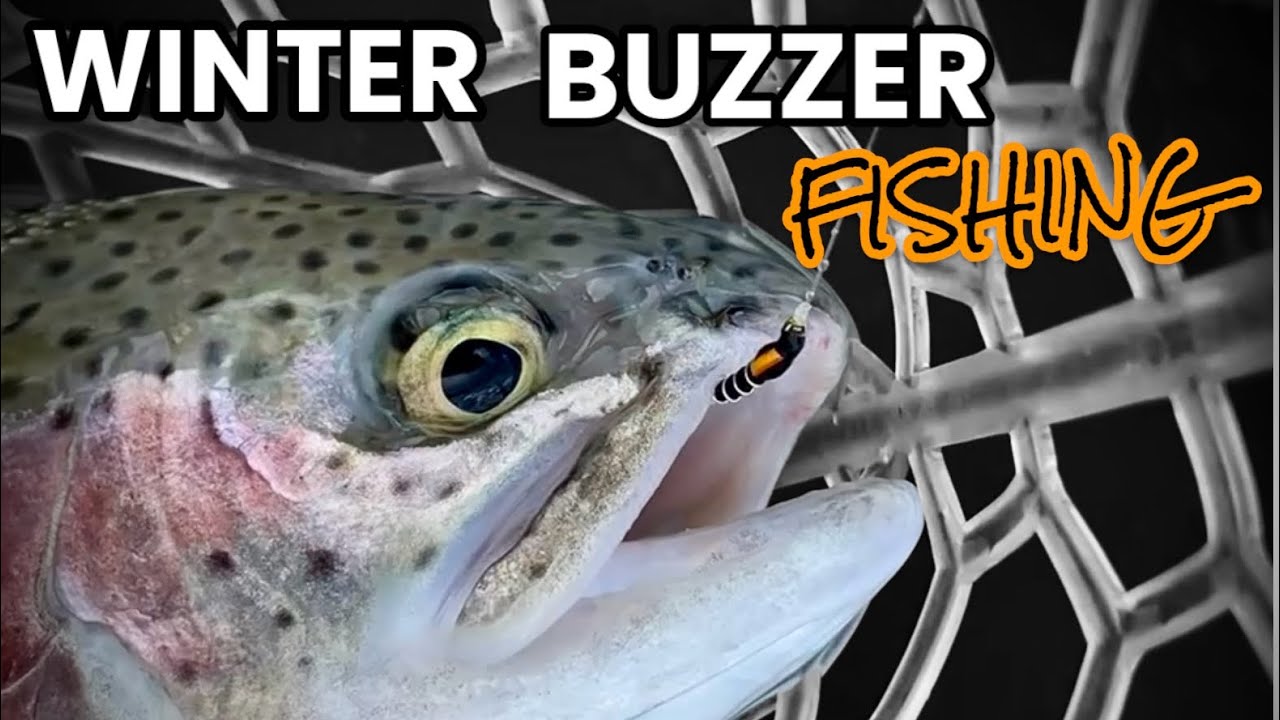 Naturals Can out Fish Lures In Winter - Buzzer Fishing | fly fishing for trout uk