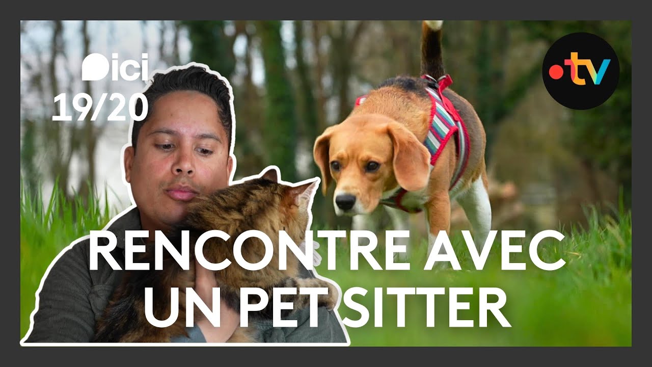 Pet Sitter : un métier passionnant et original au service des animaux