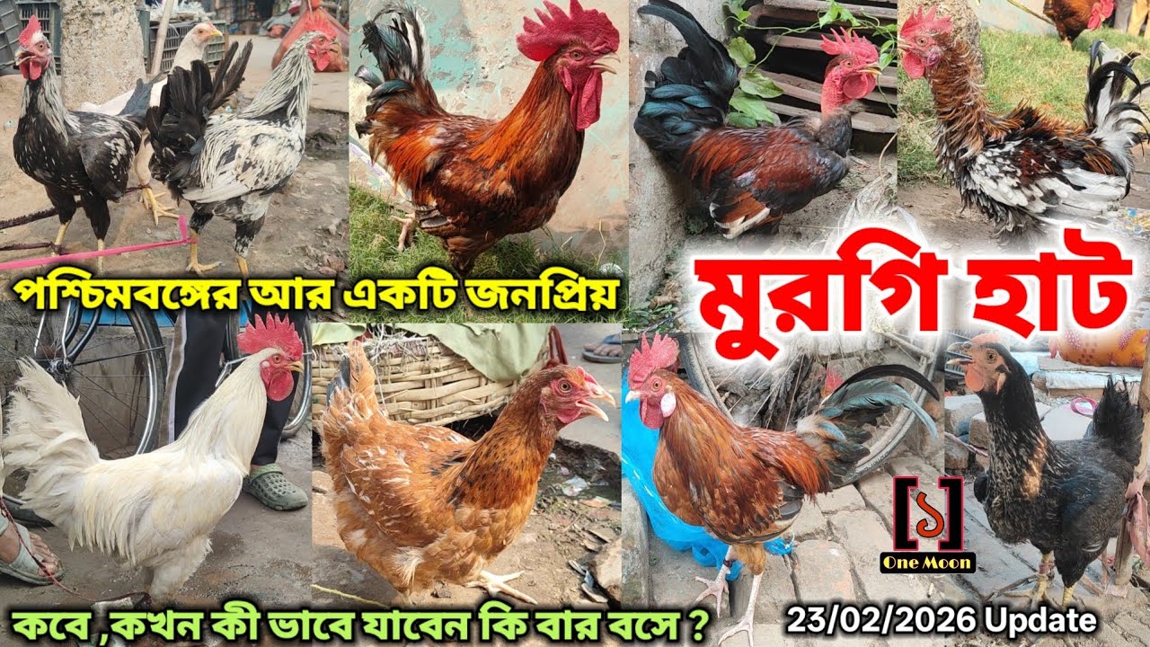 পশ্চিমবঙ্গের আর একটি জনপ্রিয় সস্তা মুরগি হাট | Cheapest Pet Market In Kolkata | @OneMoon1 