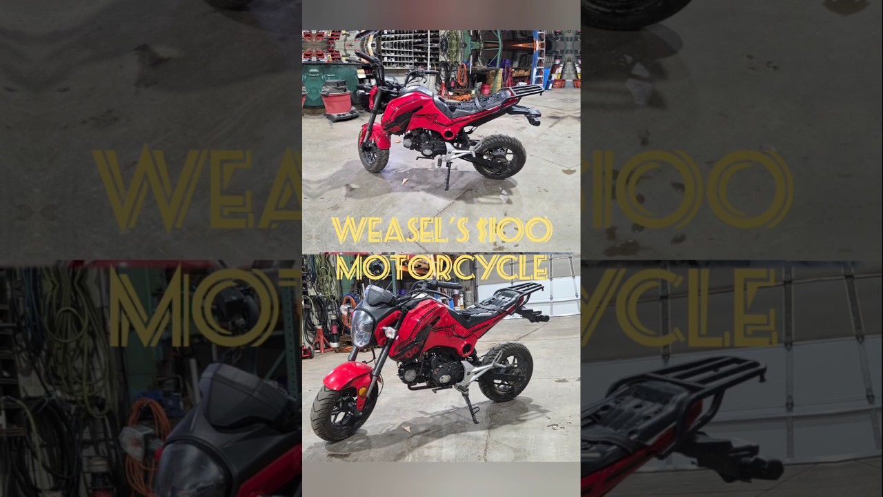 Weasel picked up a  $100 TaoTao Hellcat 125cc with 62 miles on it. 🤔🤣🤩 