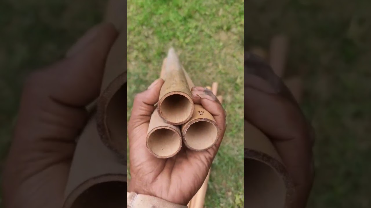 flute bamboo | Assam Bamboo  | Assam Bamboo for flute | #flute | #bamboo #shorts