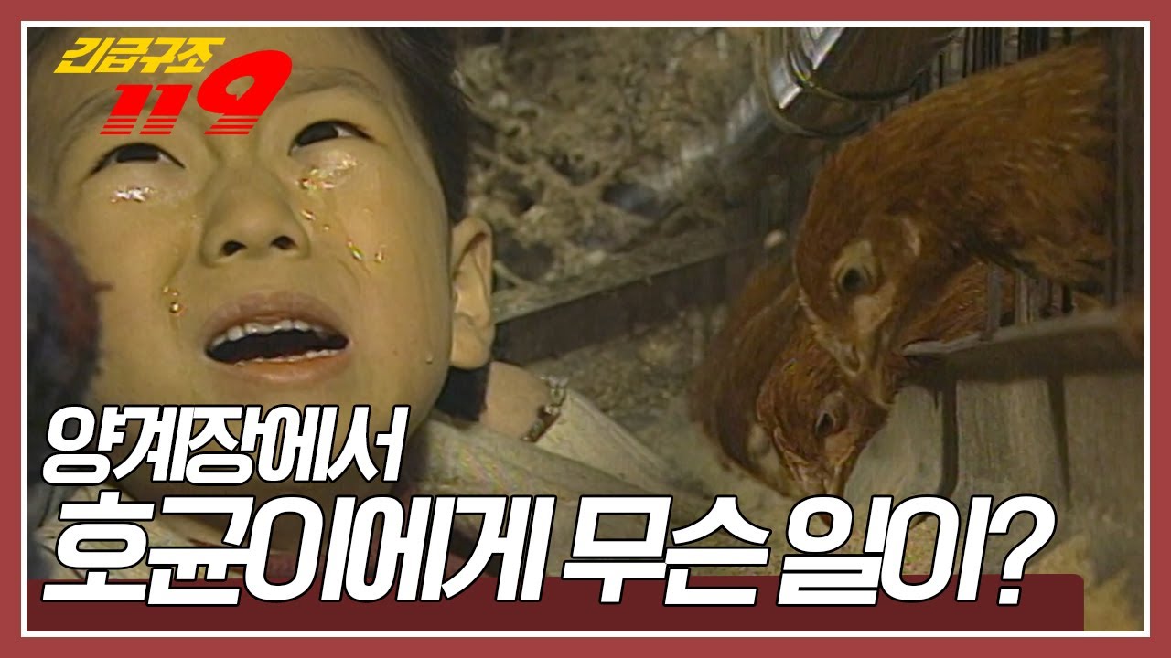엄마가 일하고 있는 양계장에 놀러온 9살 아이, 갑자기 소리를 지르면 쓰러지고 마는데... [긴급구조 119] KBS 950328 방송