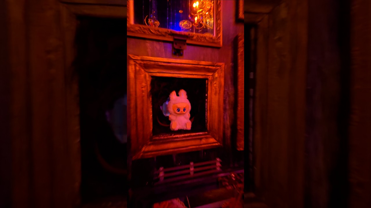 Peekaboo Time with Lalubu #labubu #popmart #ququ @POPMARTOFFICIAL @popmart_korea