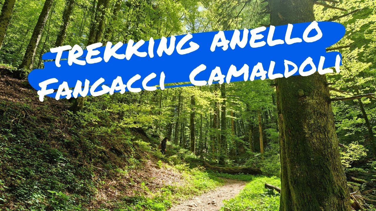 Rifugio Fangacci - Camaldoli - La Lama - Trekking Anello - Foreste Casentinesi #AvventureDucali