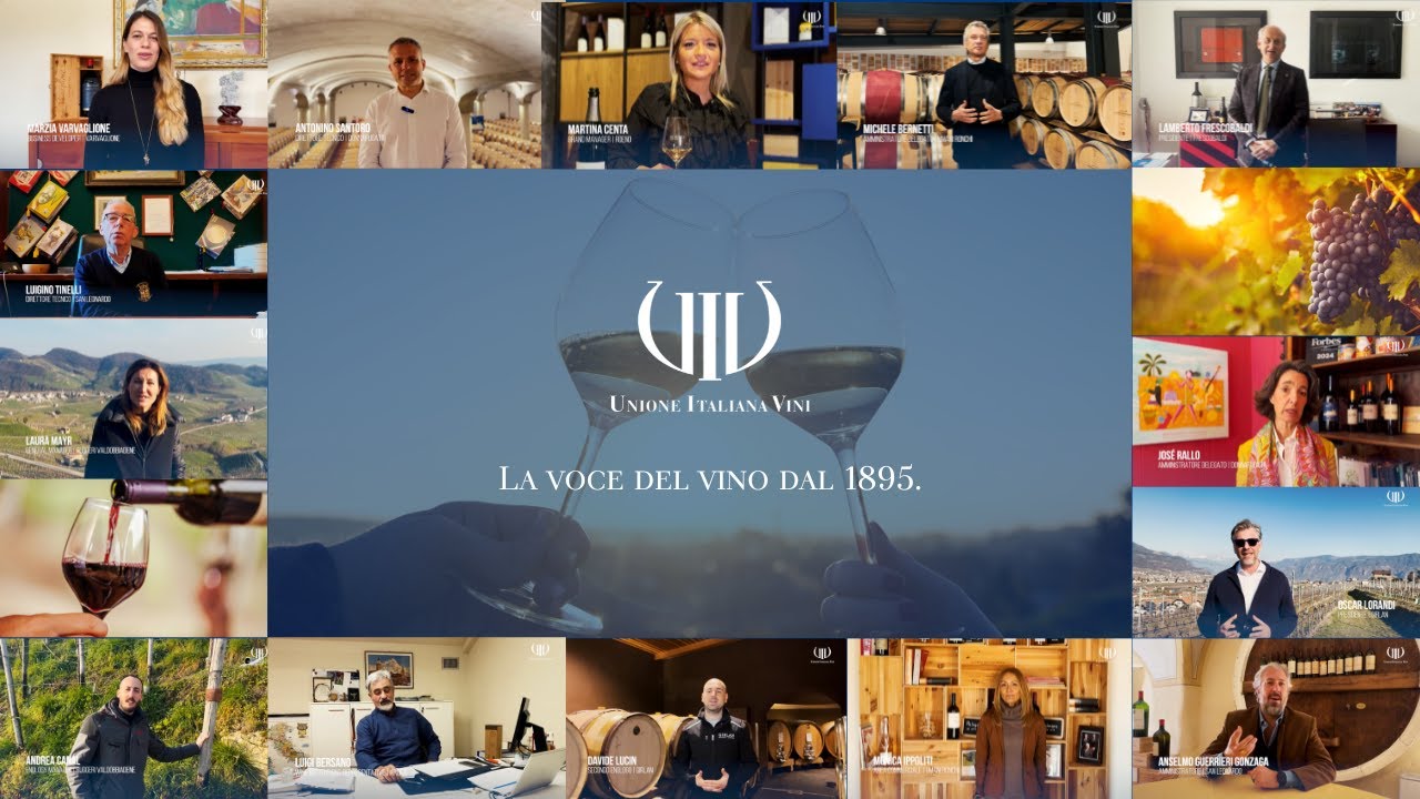 La voce del vino dal 1895 - Il settore si racconta