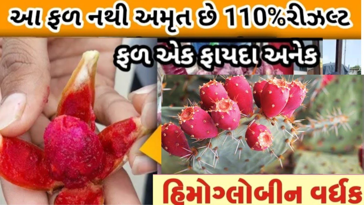 હિમોગ્લબીન વર્ધક શરીરમાં અનેક ફાયદાકારક જ્યૂસ ઘરે બેઠાં ઓર્ડર કરો #cactusjuice #nagfani #rajkot