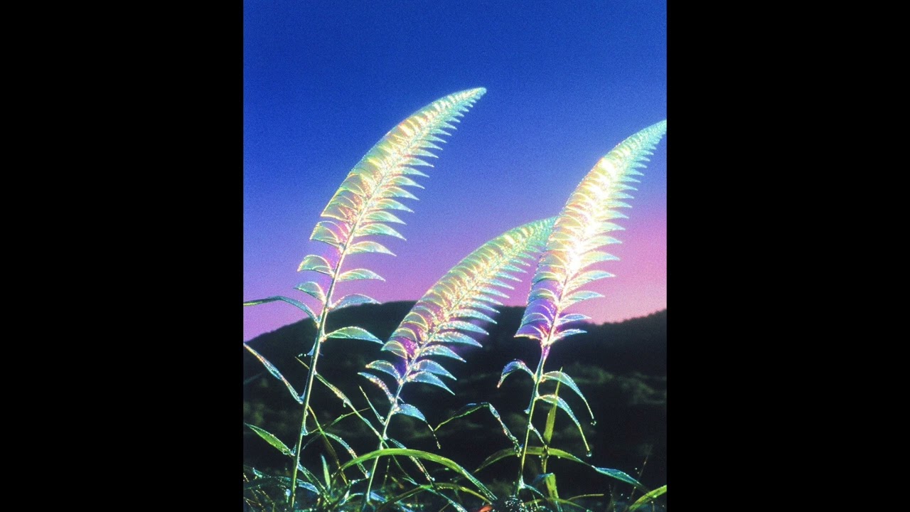 KEROUE x CABALLEREO - Spring (Prod ML7)