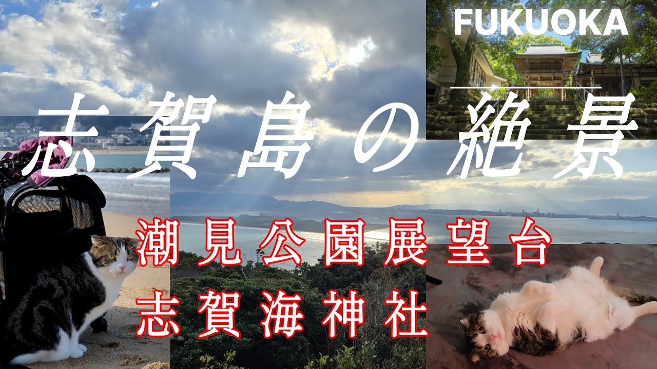 「福岡市内でこんな神秘的な景色が見れるなんて！」志賀海神社の上にある潮見公園展望台からの絶景に感動！