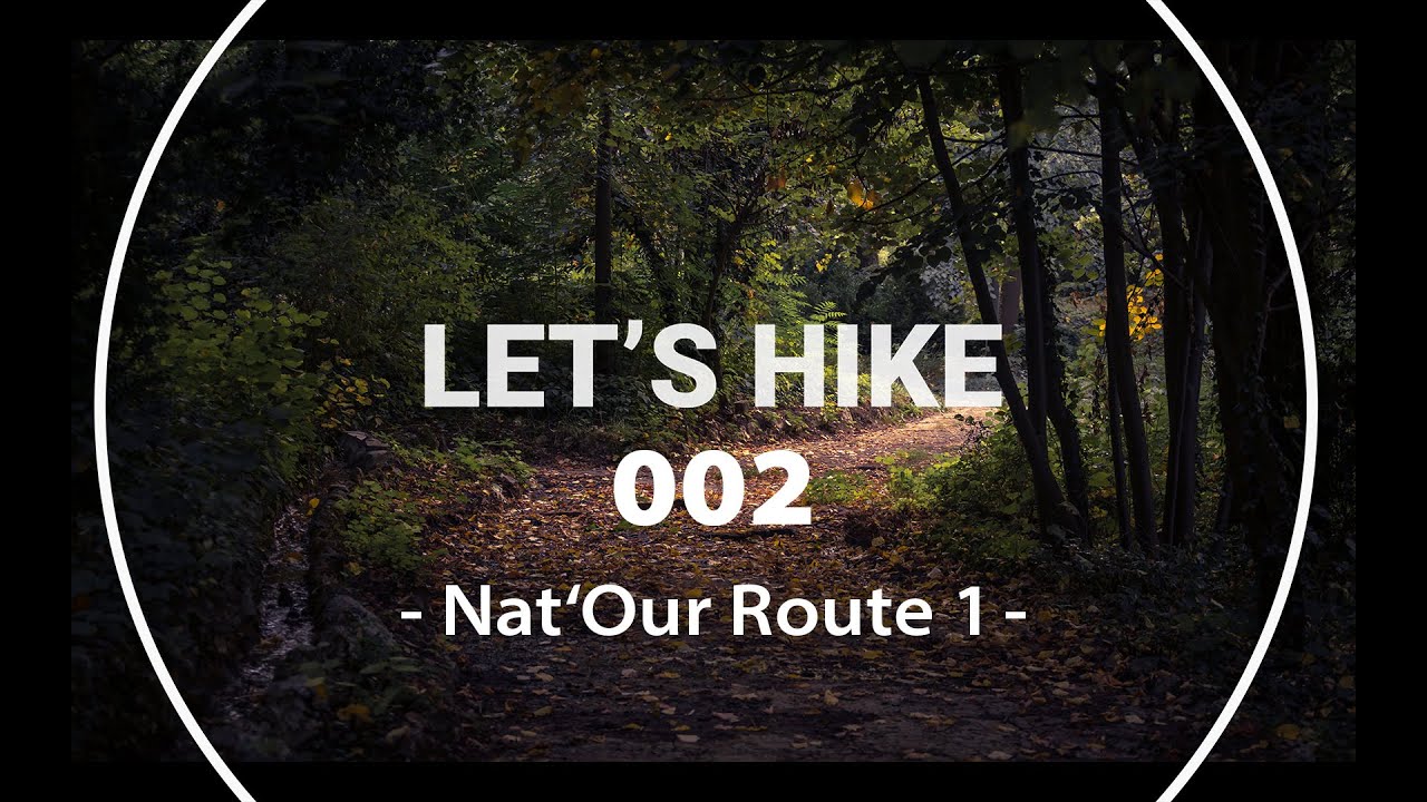 LET'S HIKE 002 - Nat'Our Route 1 (Lux/Deu) - 13 km - Winter - Bewölkt #Tintesmühle #Our #Ourtal
