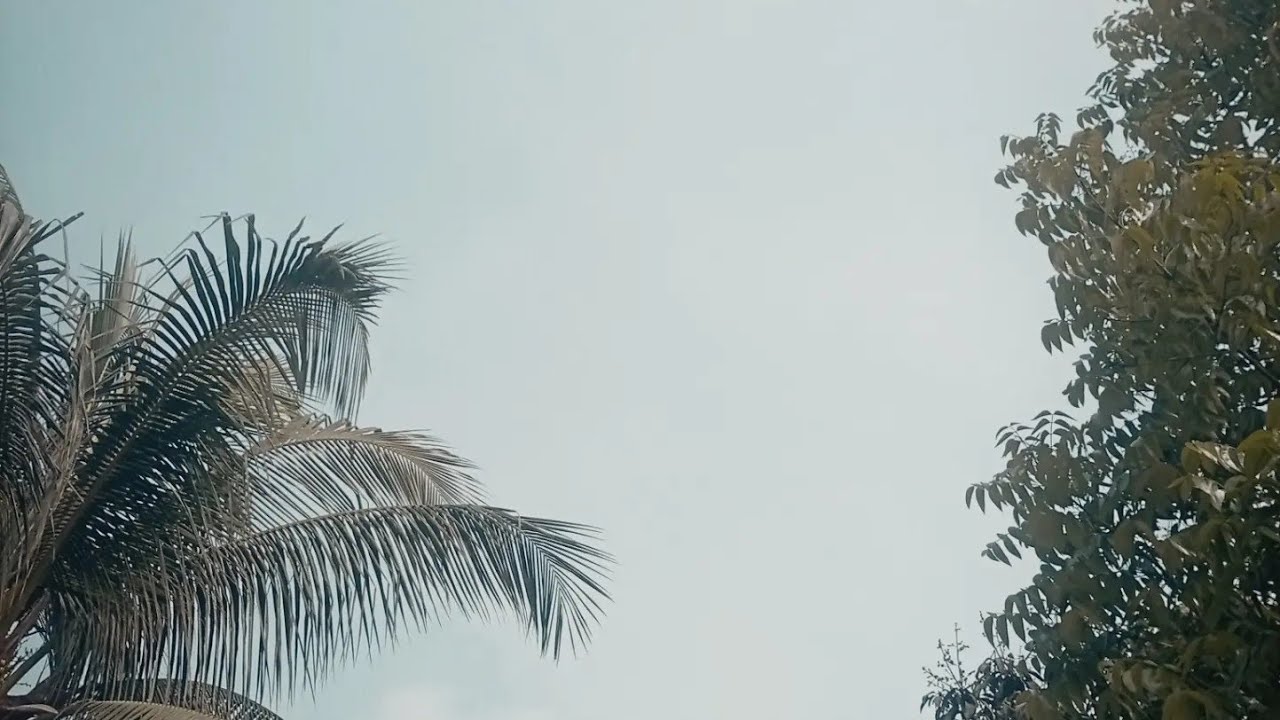 রান্নার ভুবন  is live