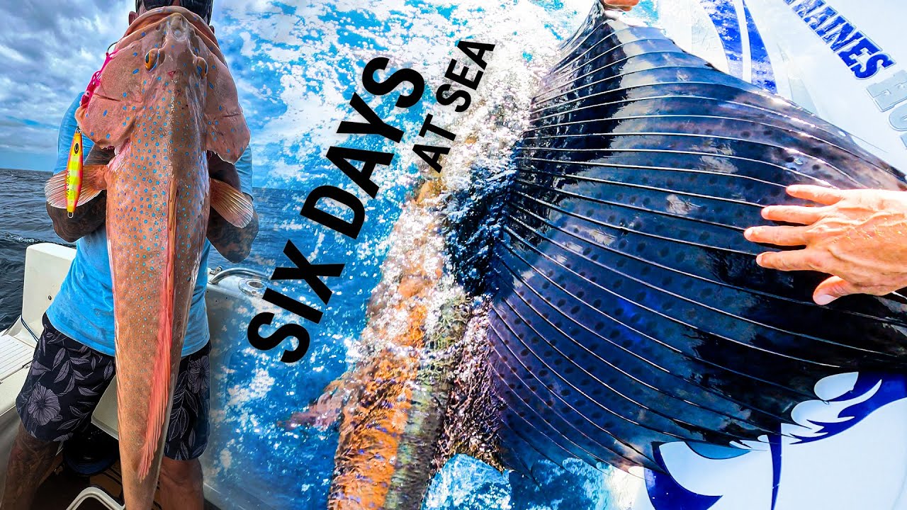 FASTEST Fish in the ocean // ANGRIEST fish on the reef - Camping on the Haines Hunter at sea !
