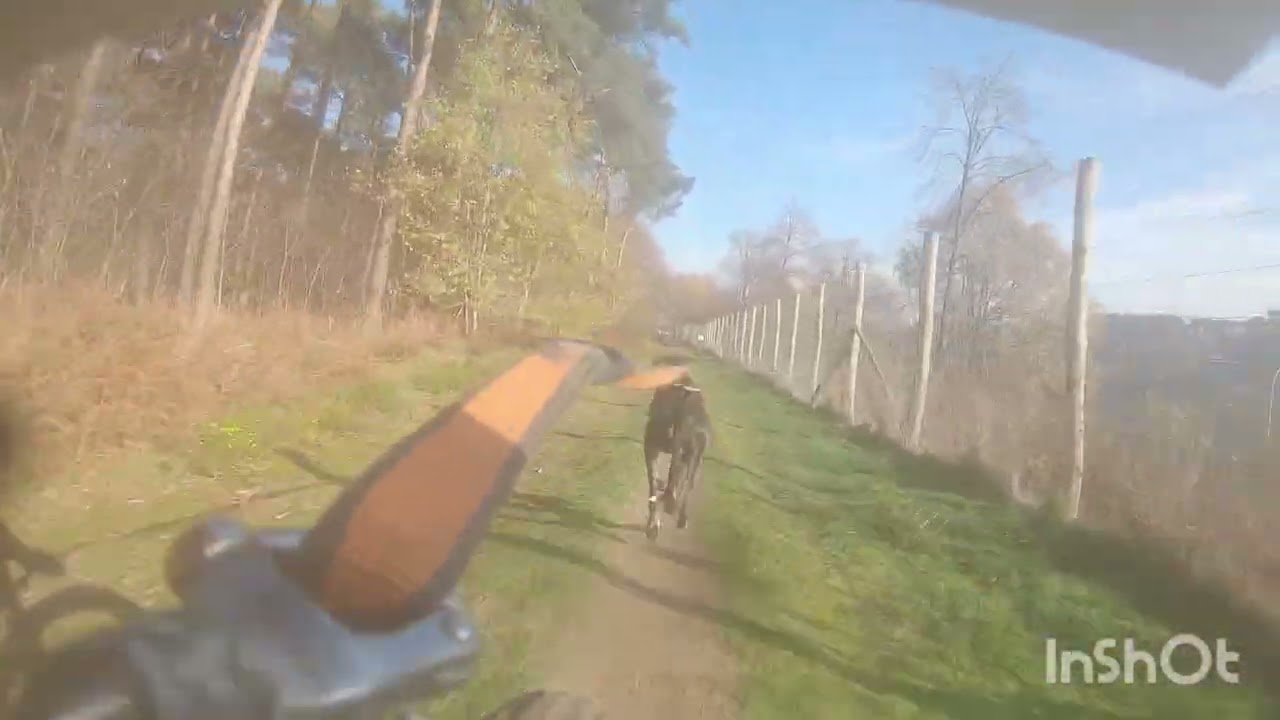 BCF: Vossencross with Zlatan Day 1