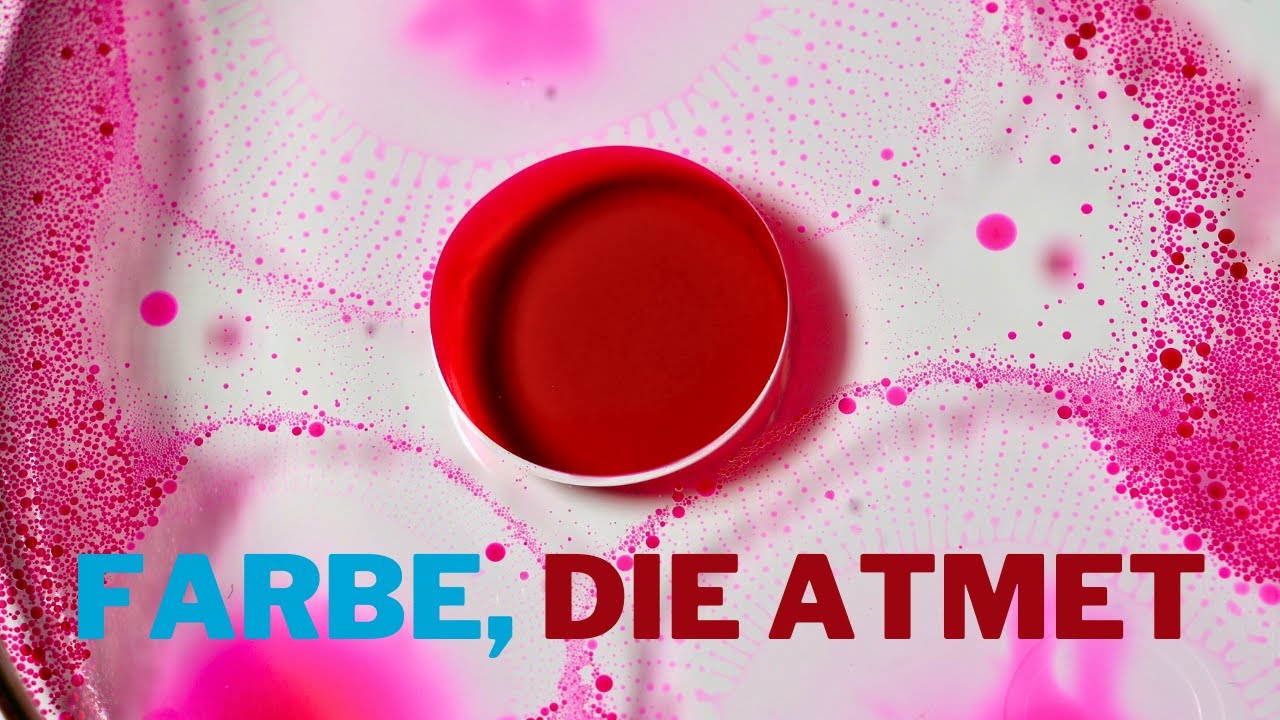 Warum atmet diese Farbe? Ein magisches Öl-Experiment