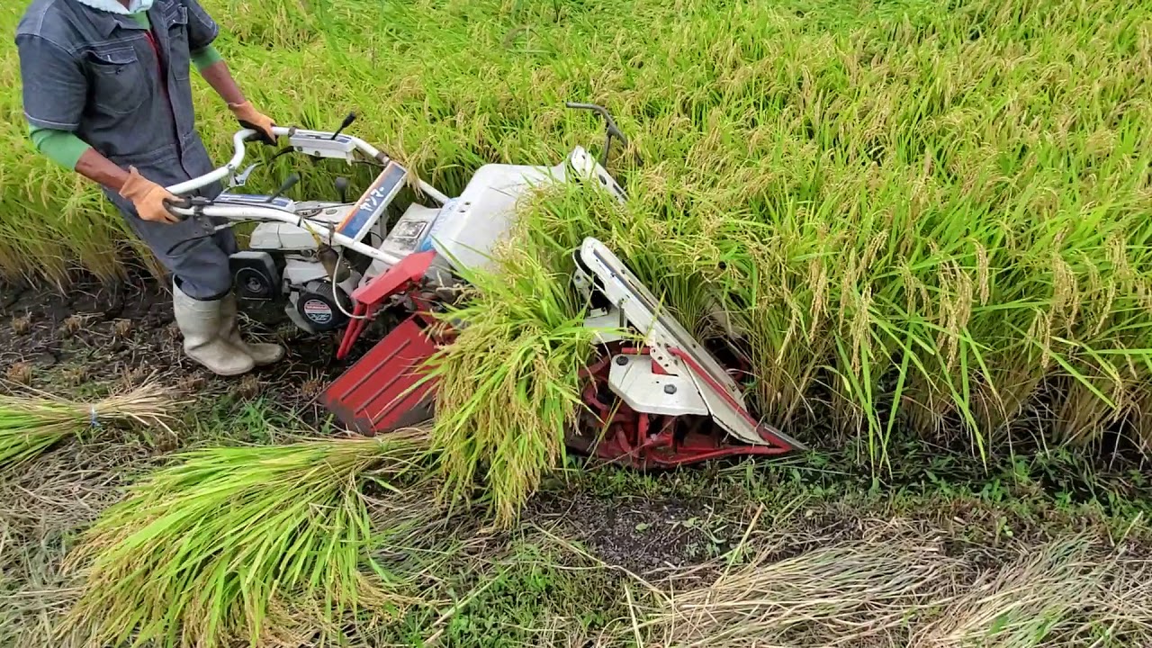 ヤンマー　バインダー YB65