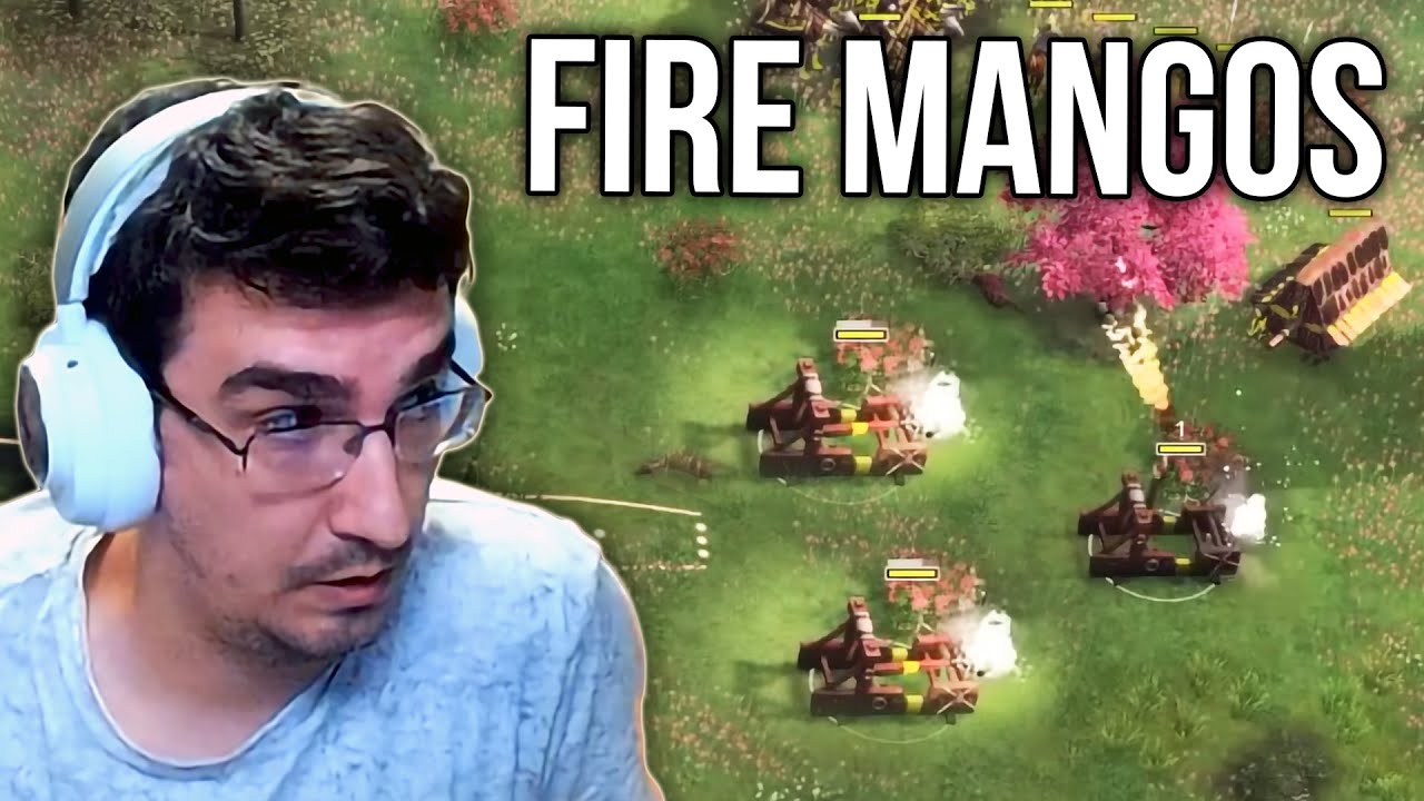Beasty Destroying With Ayyubids & FIRE MANGOS in AOE4...