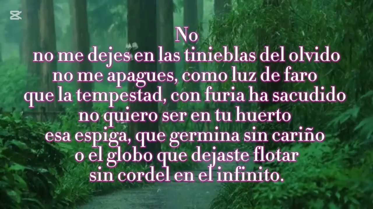 POEMA. EL LLAMADO DEL AMOR.