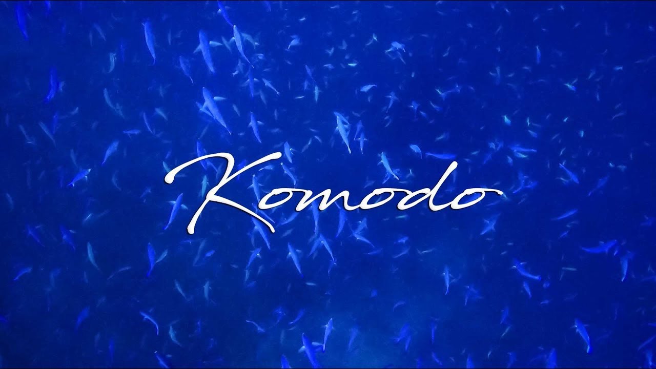 Diving Indonesia - Komodo National Park (Castle Rock)