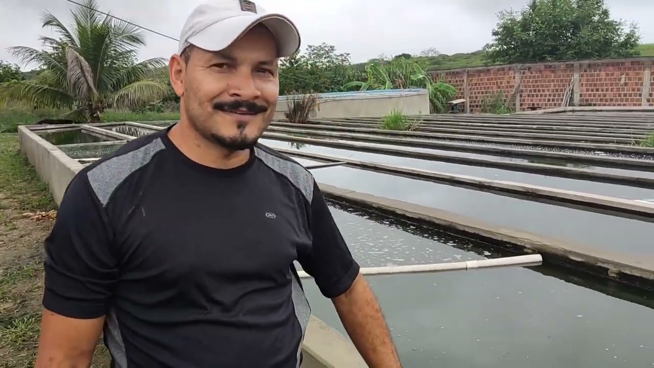 Criatórios de tilápias !!!