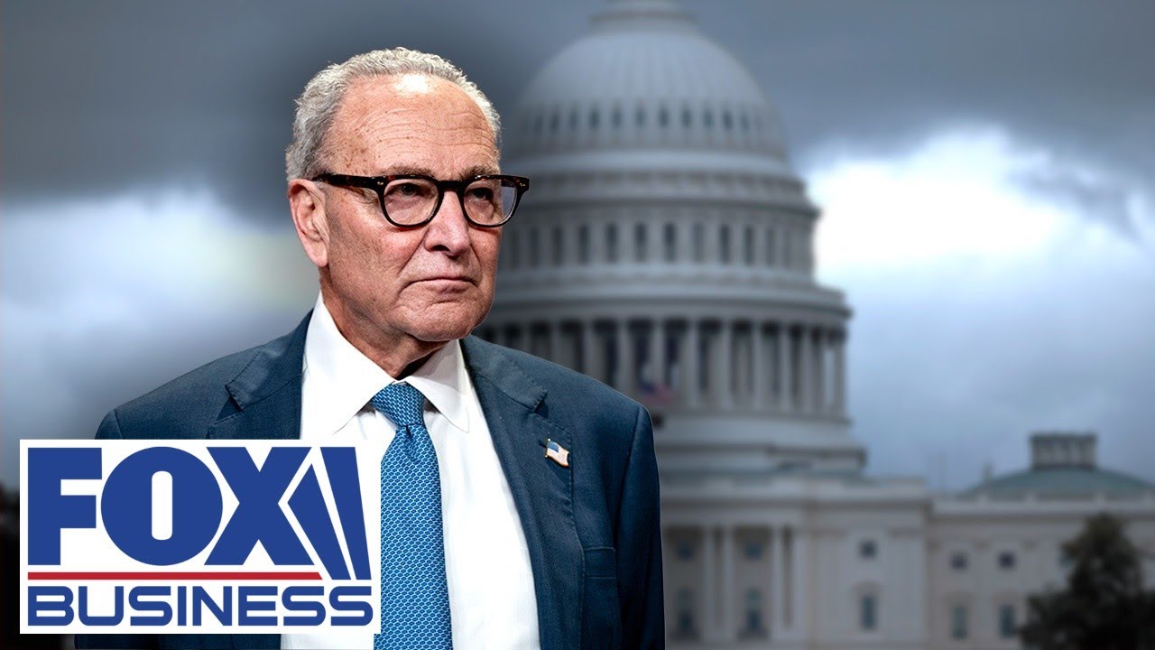 SHUTDOWN 'TANTRUM': Scalise unloads on Schumer over ‘twisted’ tactics