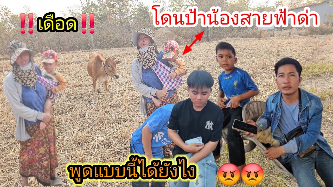 เกิดอะไรขึ้นป้าน้องสายฟ้าเดีนมาด่าบ่าวไลกับน้องผัดชัยถึงกับงง..😡🥹 #สุดท้ายยอมขอโทษ 26/2/2026