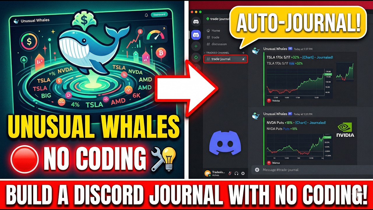 NO CODING KNOWELDGE Unusual Whales API + Discord Trade Journal