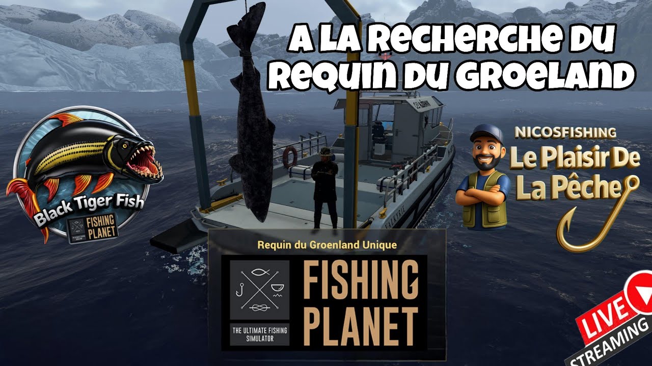 🔴 FISHING PLANÈTE 🇧🇻  Requin du Groenland 🇧🇻 Skarland Fjord  Black TIGER FISH