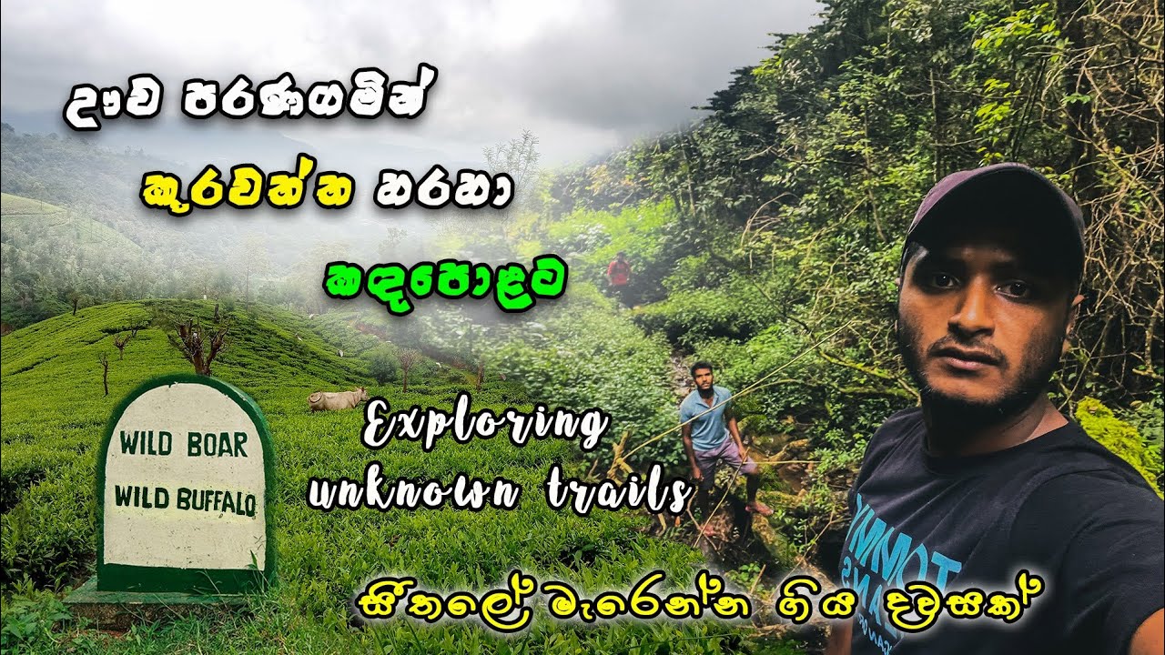 Nuwara eliya Kandapola via Uva Paranagama Koorawatta | Exploring unknown trails | Sinhala vlog