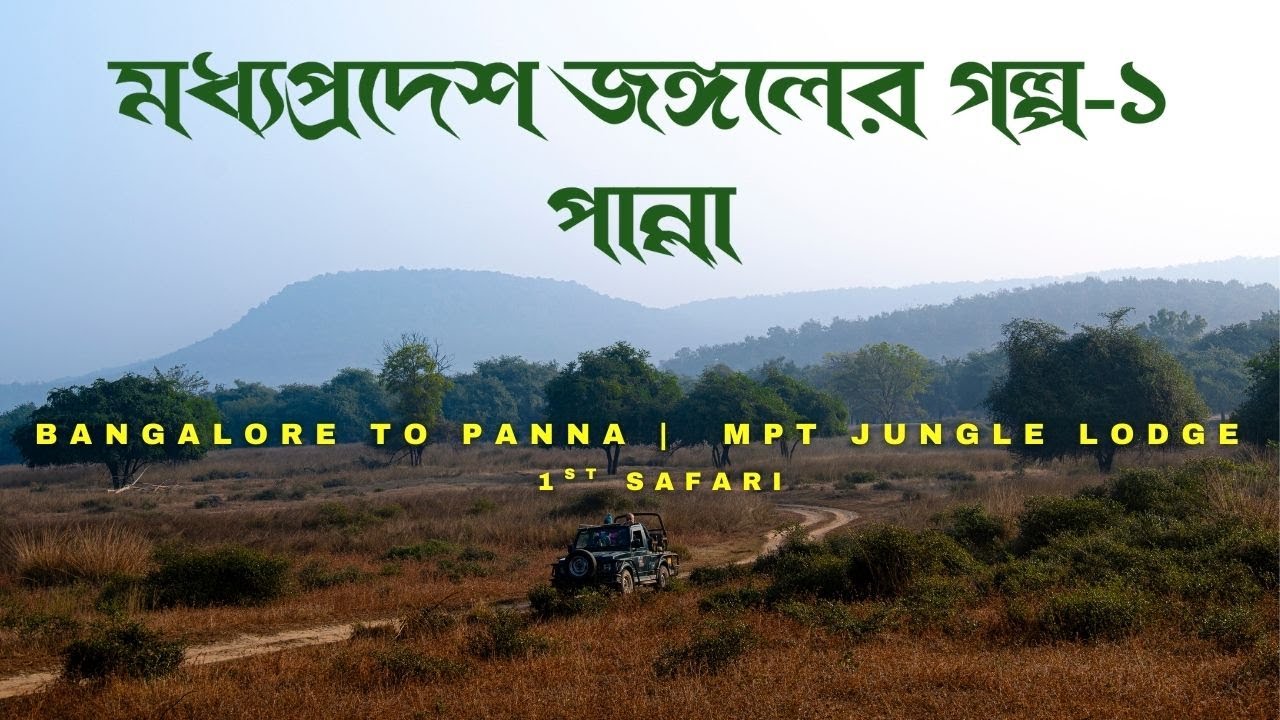 MP Jungle EP1: Bangalore to Panna, MPT Safari Lodge, 1st Safari in Panna