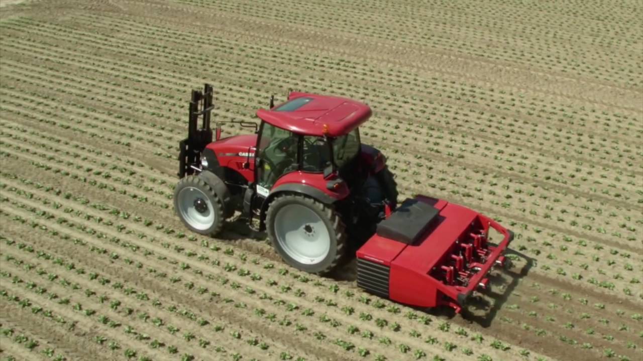 steketee ic weeder