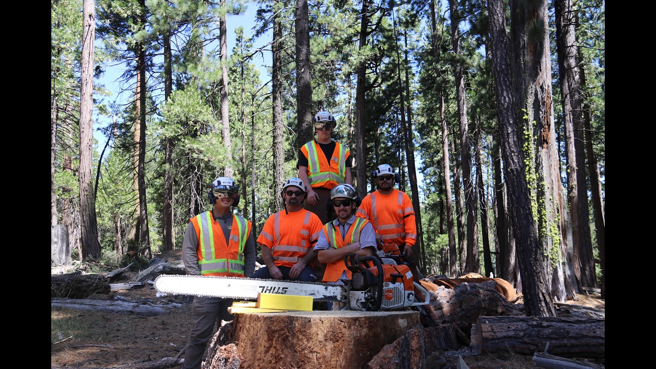 Видеоролик, демонстрирующий работу бригады по обрезке деревьев Sutter Sierra Tree Crew.