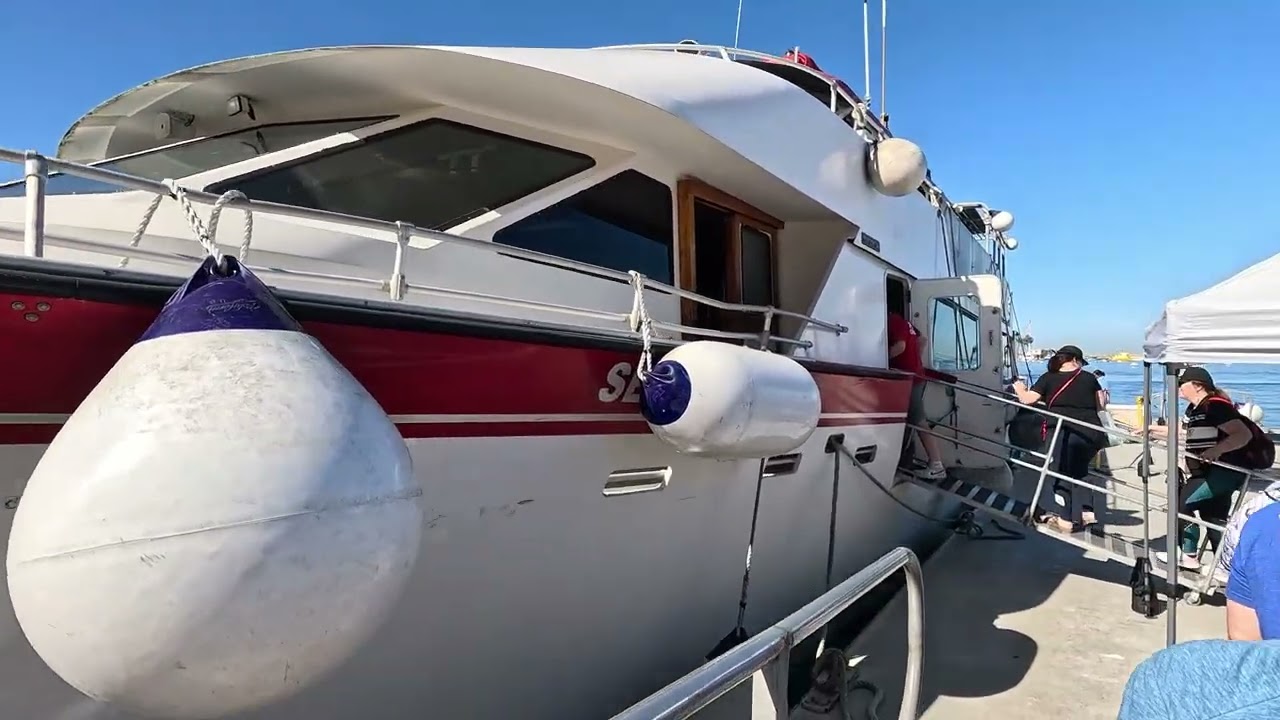 Royal Caribbean Tendering in Catalina Island