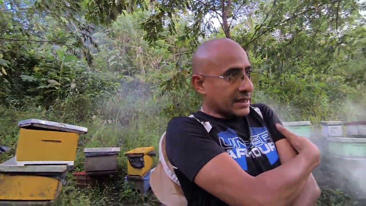 Desastre en el apiario