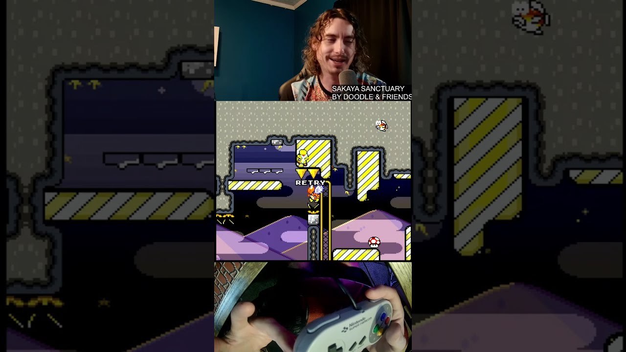 Testing A Kaizo game For @neidoodle