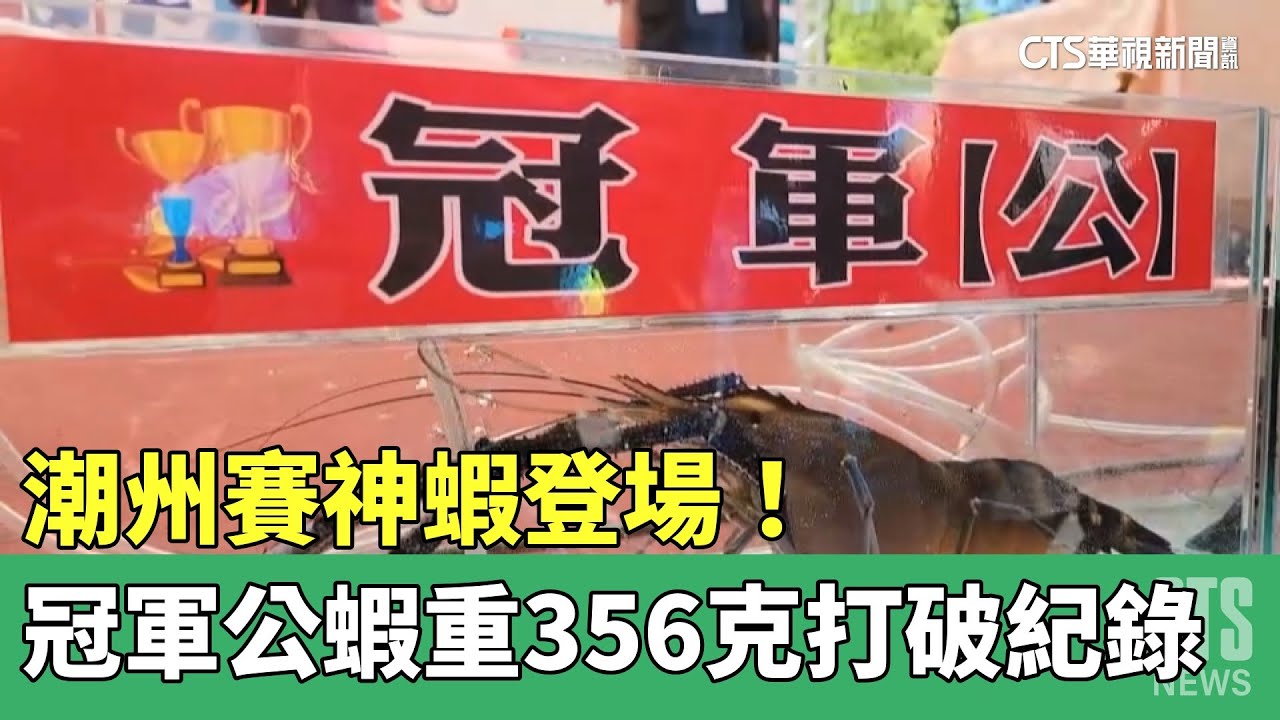 潮州賽神蝦登場！　冠軍公蝦重356克打破紀錄｜華視新聞 20230506