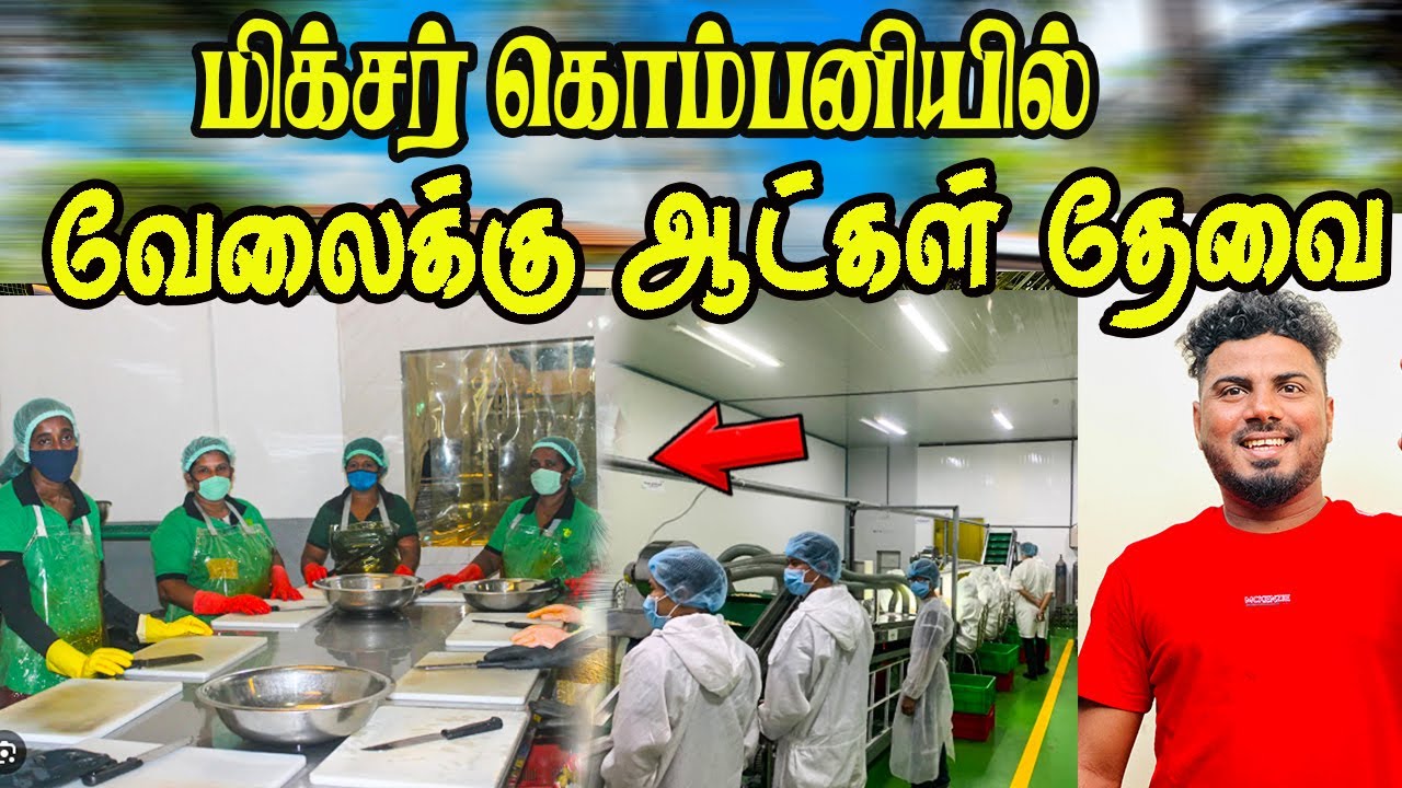 மிக்சர் கம்பனியில் வேலைக்கு ஆட்கள் தேவை- விரும்பியோர் அழையுங்கள் #jobs #vacancy #vanninanban #jaffna