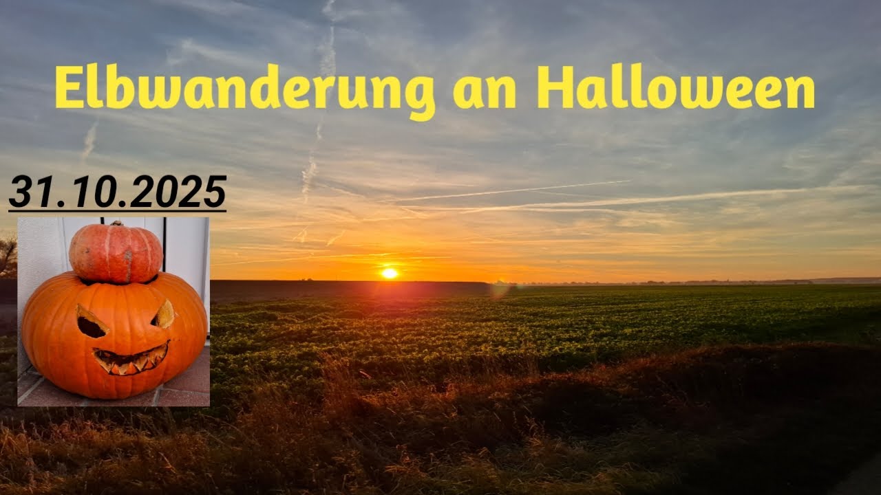 35 Km von Torgau nach Belgern an der Elbe 