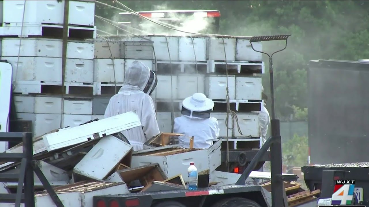 Semi-truck carrying beehives crashed near I-10 ramp