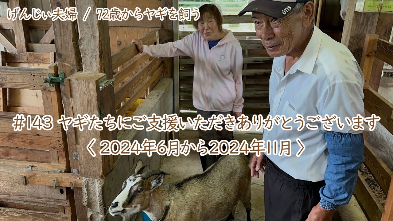 【79歳ヤギ飼い#6】ヤギたちのためにご支援いただきありがとうございます「72歳からの楽しいシニアライフ#143」