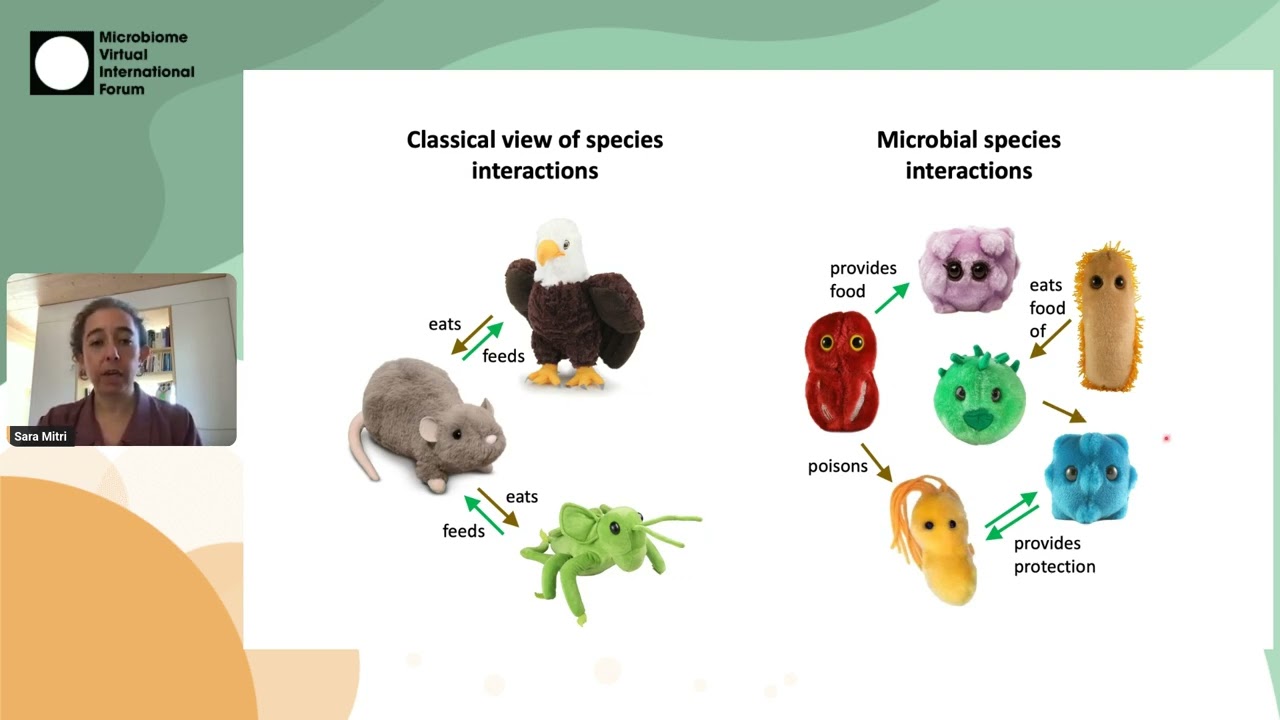 Sara Mitri – The ecology and evolution of small bacterial communities | MVIF45 S05