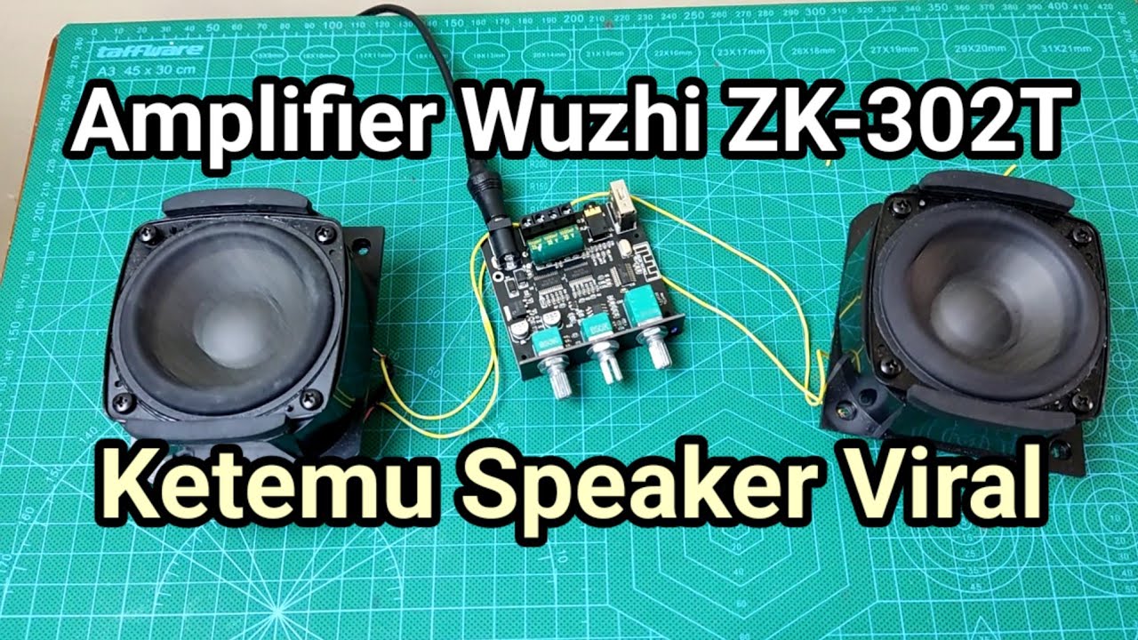 Bagaimana Jika Amplifier Whuzi ZK-302T Ketemu Speaker Viral.