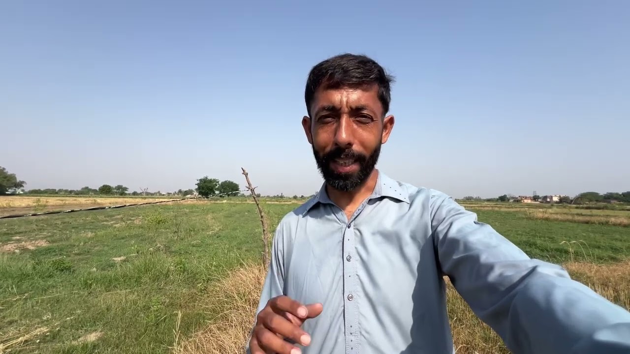 Lemon Garden Main Anday Aa Gaye