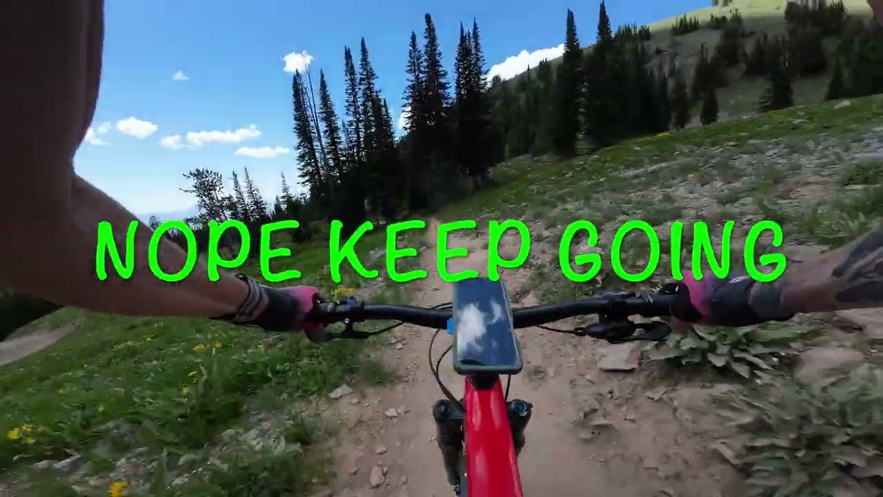 Mountain Bike Alta WY Ski Resort