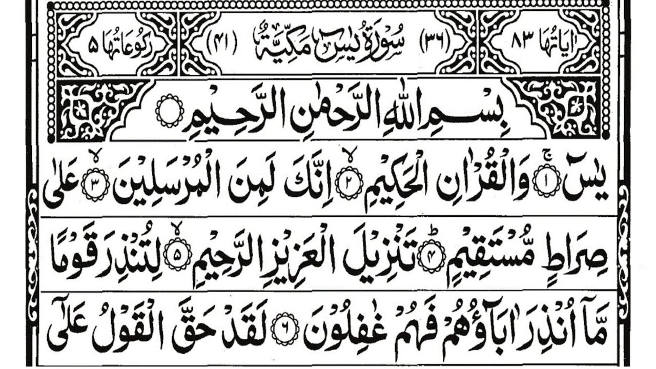 surah Yasin sudais || surah rahman || surah Waqi'ah || surah mulk || the easy quran course