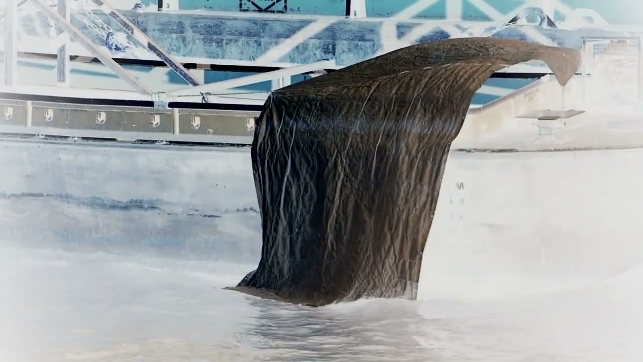 Flap
