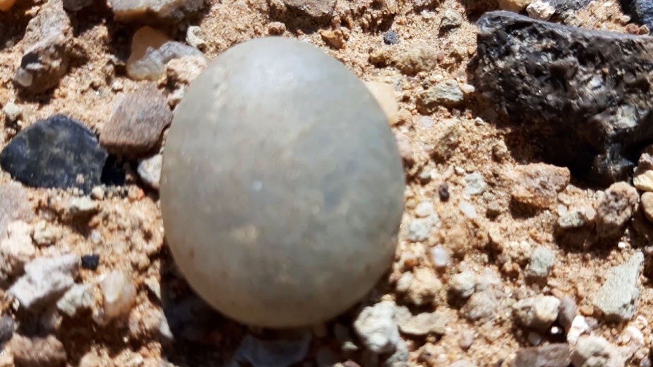البحث عن الاحجار الكريمة والاثرية جولة رقم 36