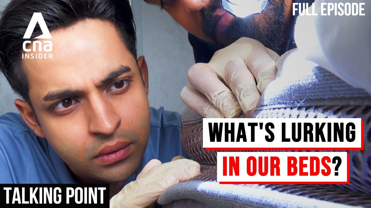 Bed Bugs & Dust Mites: Are These Tiny Insects Living In Your Bed? | Talking Point | Full Episode