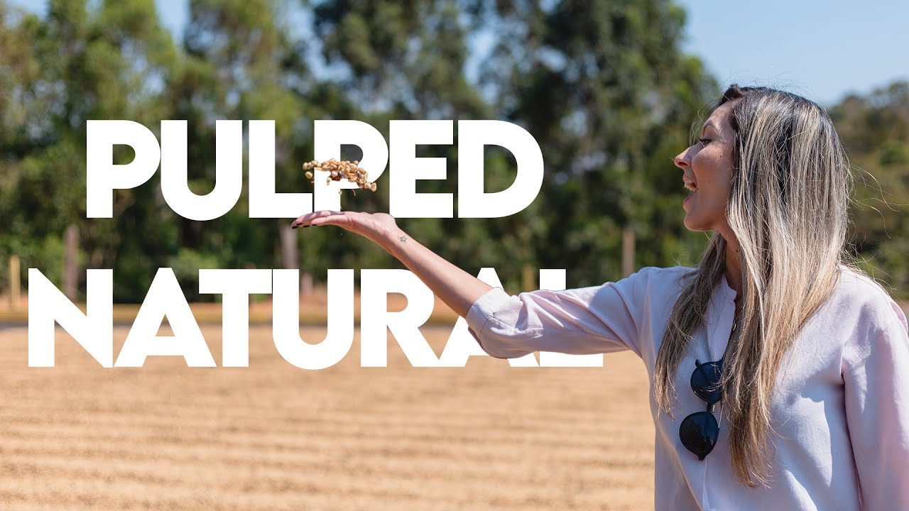 Pulped Natural Process - One Shot About Coffee 